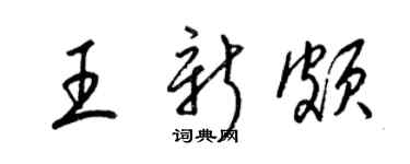 梁锦英王新颇草书个性签名怎么写