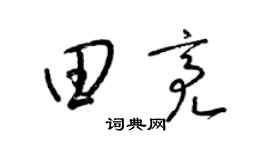 梁锦英田亮草书个性签名怎么写