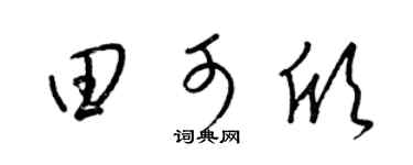 梁锦英田可欣草书个性签名怎么写