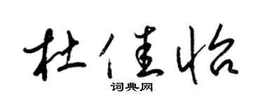 梁锦英杜佳怡草书个性签名怎么写