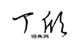 梁锦英丁欣草书个性签名怎么写