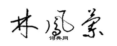 梁锦英林凤兰草书个性签名怎么写