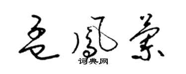 梁锦英孟凤兰草书个性签名怎么写