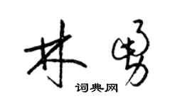 梁锦英林勇草书个性签名怎么写