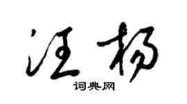 梁锦英汪杨草书个性签名怎么写