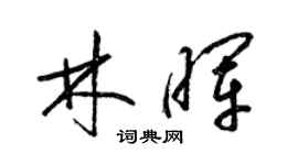 梁锦英林晖草书个性签名怎么写