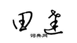 梁锦英田达草书个性签名怎么写