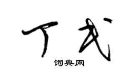 梁锦英丁民草书个性签名怎么写