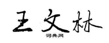 曾庆福王文林行书个性签名怎么写