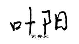 曾庆福叶阳行书个性签名怎么写