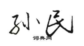 骆恒光孙民行书个性签名怎么写