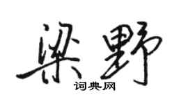 骆恒光梁野行书个性签名怎么写