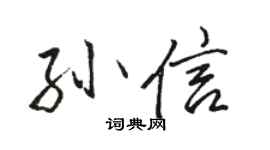 骆恒光孙信行书个性签名怎么写