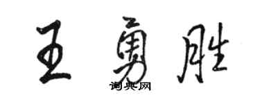 骆恒光王勇胜行书个性签名怎么写