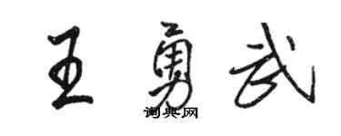 骆恒光王勇武行书个性签名怎么写