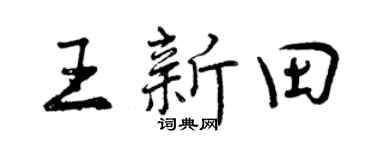 曾庆福王新田行书个性签名怎么写