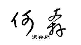 梁锦英何奔草书个性签名怎么写