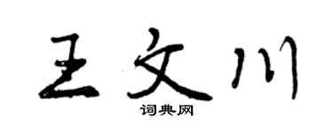 曾庆福王文川行书个性签名怎么写