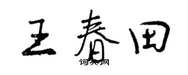 曾庆福王春田行书个性签名怎么写