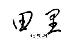 梁锦英田里草书个性签名怎么写