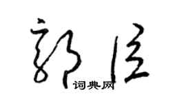 梁锦英郭臣草书个性签名怎么写