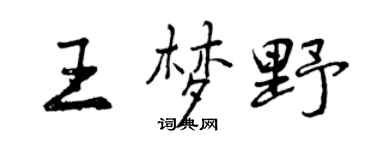 曾庆福王梦野行书个性签名怎么写