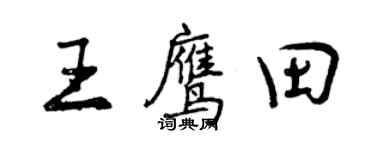 曾庆福王鹰田行书个性签名怎么写