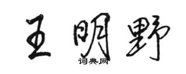 骆恒光王明野行书个性签名怎么写