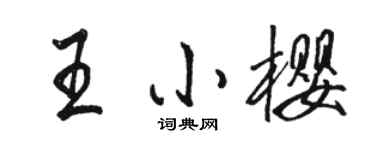 骆恒光王小樱行书个性签名怎么写