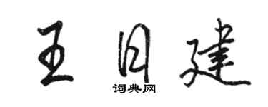 骆恒光王日建行书个性签名怎么写