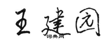 骆恒光王建园行书个性签名怎么写