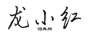 骆恒光龙小红行书个性签名怎么写