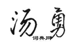 骆恒光汤勇行书个性签名怎么写