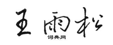 骆恒光王雨松行书个性签名怎么写