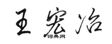 骆恒光王宏冶行书个性签名怎么写