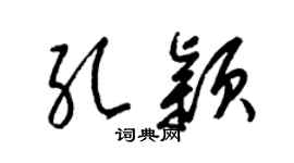 梁锦英孔颖草书个性签名怎么写