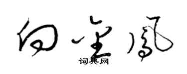 梁锦英向金凤草书个性签名怎么写