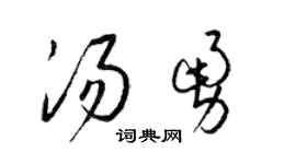 梁锦英汤勇草书个性签名怎么写