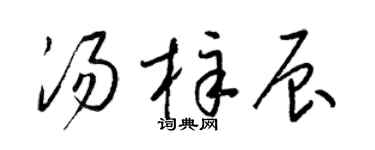 梁锦英汤梓辰草书个性签名怎么写