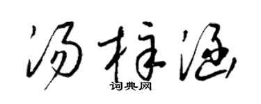 梁锦英汤梓涵草书个性签名怎么写