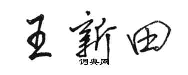 骆恒光王新田行书个性签名怎么写