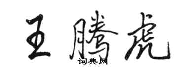 骆恒光王腾虎行书个性签名怎么写