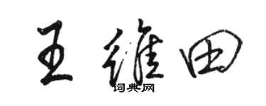 骆恒光王维田行书个性签名怎么写