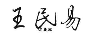 骆恒光王民易行书个性签名怎么写