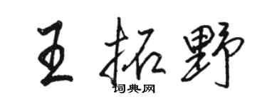 骆恒光王拓野行书个性签名怎么写