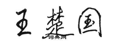 骆恒光王楚国行书个性签名怎么写