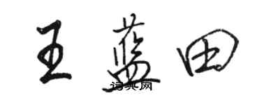 骆恒光王蓝田行书个性签名怎么写