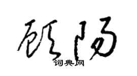 梁锦英顾阳草书个性签名怎么写