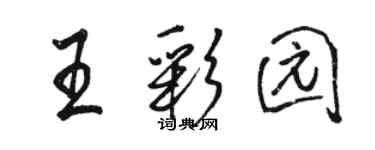 骆恒光王彩园行书个性签名怎么写