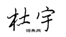 王正良杜宇行书个性签名怎么写